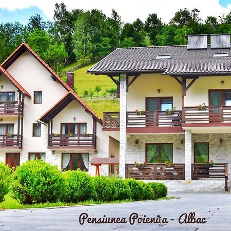 Pensiunea Poienita Албак Екстер'єр фото